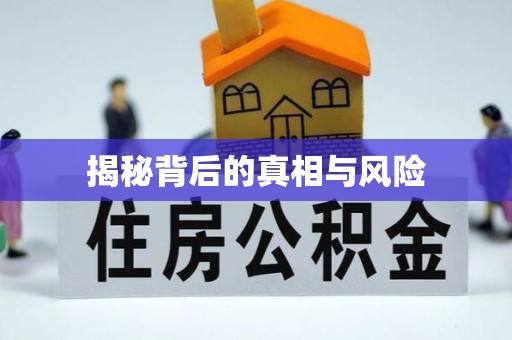 临泽揭秘背后的真相与风险
