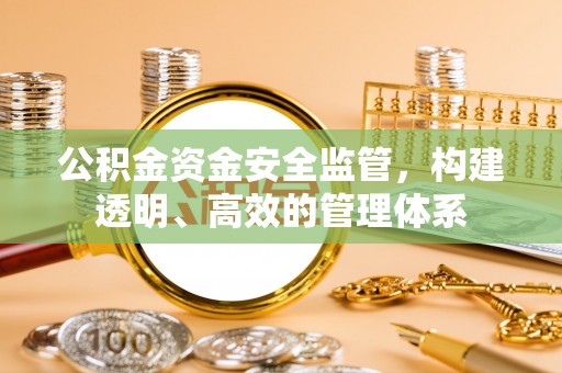 临泽公积金资金安全监管，构建透明、高效的管理体系