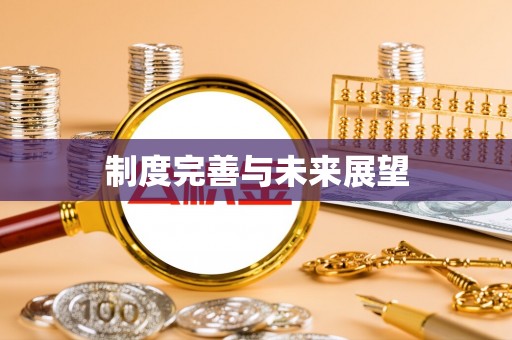 临泽制度完善与未来展望