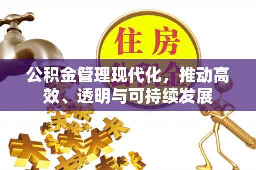 临泽公积金管理现代化，推动高效、透明与可持续发展