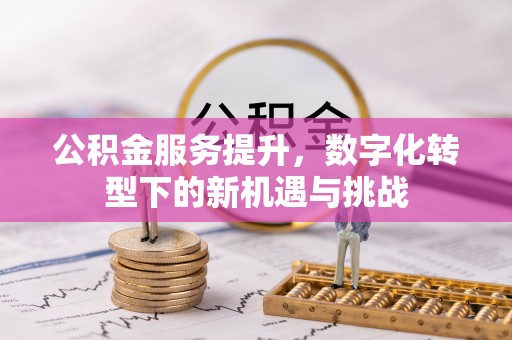 临泽公积金服务提升，数字化转型下的新机遇与挑战