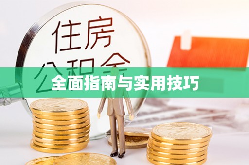 临泽全面指南与实用技巧
