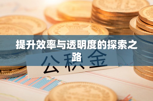 临泽提升效率与透明度的探索之路