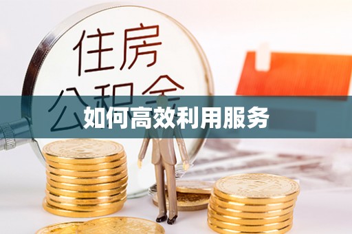 临泽如何高效利用服务