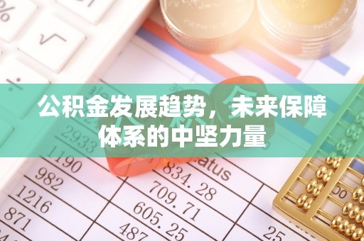 临泽公积金发展趋势，未来保障体系的中坚力量