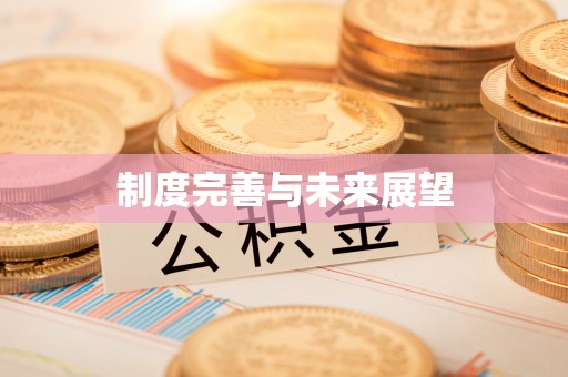 临泽制度完善与未来展望